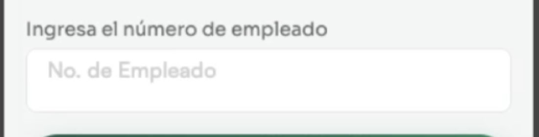 Evidencia 41